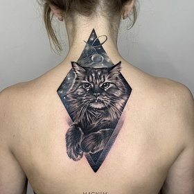 Серго Акопян, реализм тату, realism tattoo, цветной реализм, цветная татуировка, тату портрет, реалистичная тату, тату мейн кун, тату кот, тату на спине