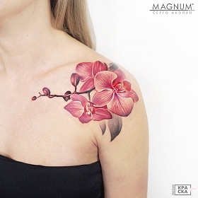 Серго Акопян, реализм тату, realism tattoo, цветной реализм, цветная татуировка, тату цветок, реалистичная тату, тату на плече