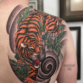 Александр Мосолов, цветная татуировка, ориентал, ориентал тату, японская татуировка, тату япония, тату в японском стиле,  тату на спине, тату с тигром, тату тигр
