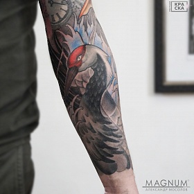 Александр Мосолов, реализм тату, realism tattoo, цветной реализм, цветная татуировка, тату портрет, реалистичная тату, тату на руке, тату птица