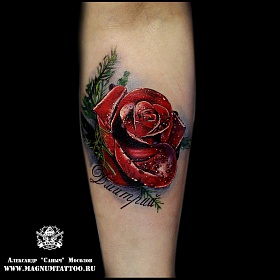 Александр Мосолов, реализм тату, realism tattoo, цветной реализм, цветная татуировка, тату портрет, реалистичная тату, тату на руке, тату роза, роза в реализме