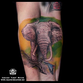 Александр Мосолов, реализм тату, realism tattoo, цветной реализм, цветная татуировка, тату портрет, реалистичная тату, тату на руке, тату слон, слон на руке