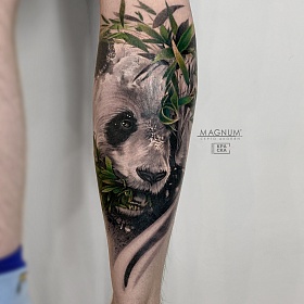 Серго Акопян, реализм тату, realism tattoo, цветной реализм, цветная татуировка, тату в москве, реалистичная тату, тату на ноге, тату панда