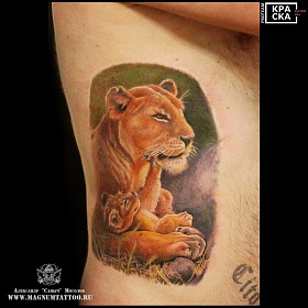 Александр Мосолов, реализм тату, realism tattoo, цветной реализм, цветная татуировка, тату портрет, реалистичная тату, тату на боку, тату львица, тату лев