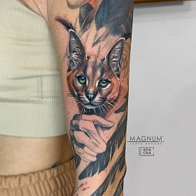 Серго Акопян, реализм тату, realism tattoo, цветной реализм, цветная татуировка, тату портрет, реалистичная тату, тату на руке, тату рысь, тату кошка, тату рукав