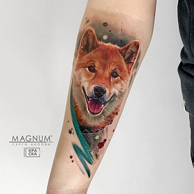Серго Акопян, реализм тату, realism tattoo, цветной реализм, цветная татуировка, тату портрет, реалистичная тату, тату на руке, тату собака, тату абстракция, тату экспрессионизм
