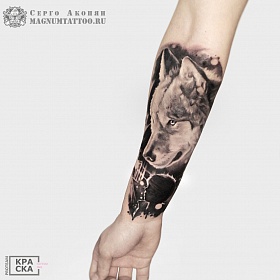 Серго Акопян, реализм тату, realism tattoo, цветной реализм, цветная татуировка, тату портрет, реалистичная тату, тату на руке, тату на предплечье, тату волк, тату экспрессионизм