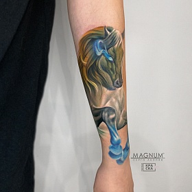Серго Акопян, реализм тату, realism tattoo, цветной реализм, цветная татуировка, тату портрет, реалистичная тату, тату на руке, тату лошадь, тату кельпи