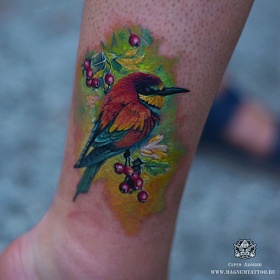 Серго Акопян, реализм тату, realism tattoo, цветной реализм, цветная татуировка, тату портрет, реалистичная тату, тату на ноге, тату птичка, яркая птичка, тату ягоды