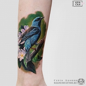 Серго Акопян, реализм тату, realism tattoo, цветной реализм, цветная татуировка, тату портрет, реалистичная тату, тату на ноге, татуптица, птица