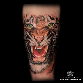 Александр Мосолов, реализм тату, realism tattoo, цветной реализм, цветная татуировка, тату портрет, реалистичная тату, тату на руке, тату тигр, тигр